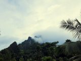 Overcast, mountainous landscape with lush greenery.