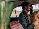 A man and his dog sitting in a vintage car, gazing out the window.