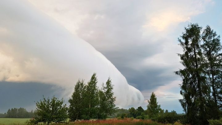 Jak rozpoznać i dokumentować chmury roll cloud (wał szkwałowy)? Poradnik dla obserwatorów pogody i łowców burz.