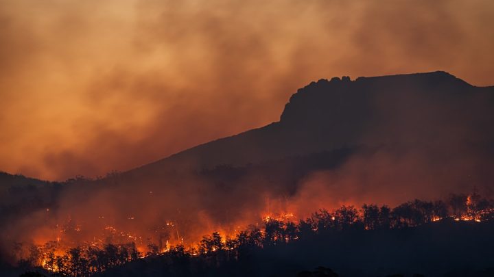 Jak wykorzystać dane z satelitów meteorologicznych (np. Copernicus, EUMETSAT) do prognozowania i monitorowania ryzyka pożarów lasów i traw?