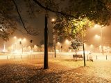 a park at night with a bench and street lights