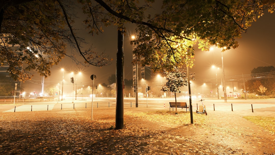 Prognozowanie lokalnych mgieł adwekcyjnych w Polsce: Jak odczytywać dane i zapobiegać zagrożeniom na drogach?