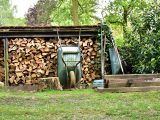 Wheelbarrow leans against stacked firewood near trees.