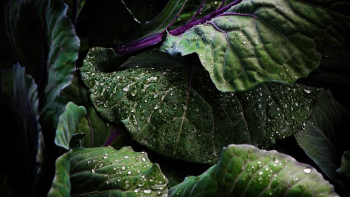 Woda w obliczu zmian klimatu: Kompleksowe strategie adaptacji domowych systemów wodnych na susze i powodzie (deszczówka, szara woda, ochrona)