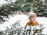 toddler beside pine tree