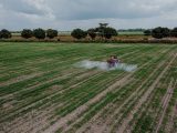 Aerial shot of a tractor spraying a lush green field with pesticides under a cloudy sky.