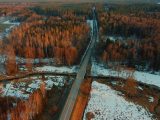 aerial view of road in between trees
