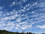 Beautiful cirrus clouds stretching across the blue sky above a lush Idaho forest landscape.