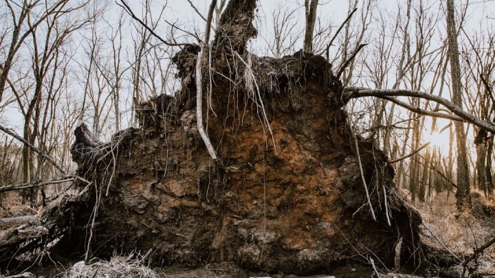 Czym są burze typu 'bow echo’ i 'derecho’? Jak rozpoznać te niszczycielskie formacje i chronić się przed gwałtownymi wiatrami liniowymi?