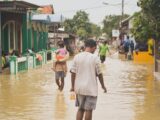 people walking on street during daytime