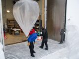 white net balloon hanged above