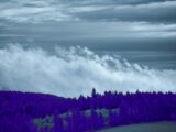 a field with trees and clouds in the background