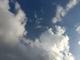 Capture of birds flying against a dramatic cloudy sky with bright sunlight.