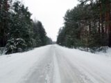 a snow covered road surrounded by pine trees