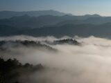 Misty mountains with trees and distant towers