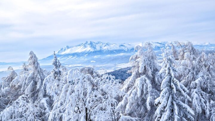 Mgła osadzająca Tatry: Unikaj oblodzenia szlaków!