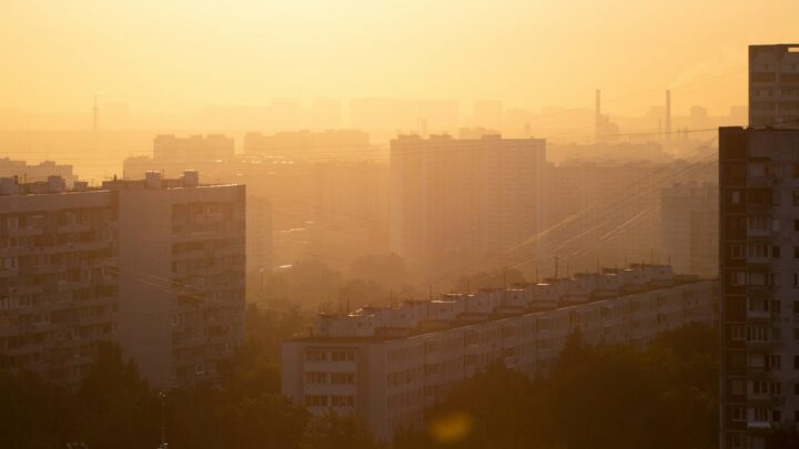 Mikroklimat osiedla: Smog i hałas w Twoim bloku?